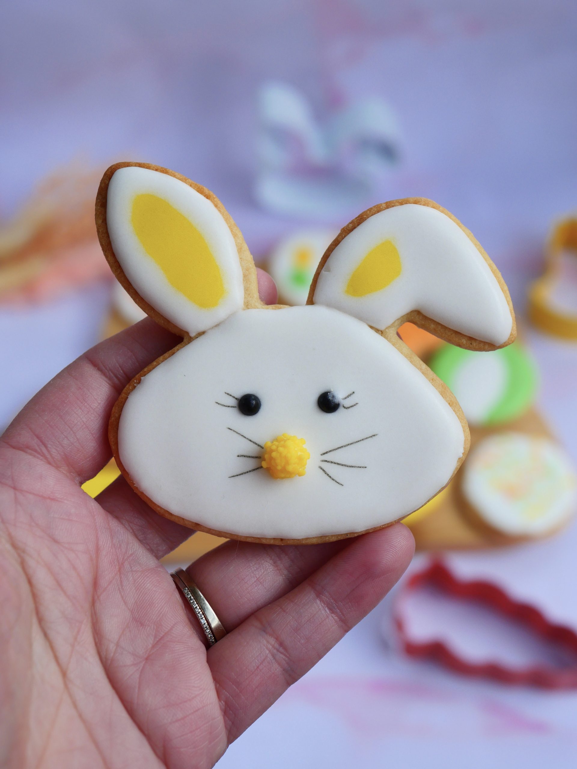 biscuit lapin biscuit lapin