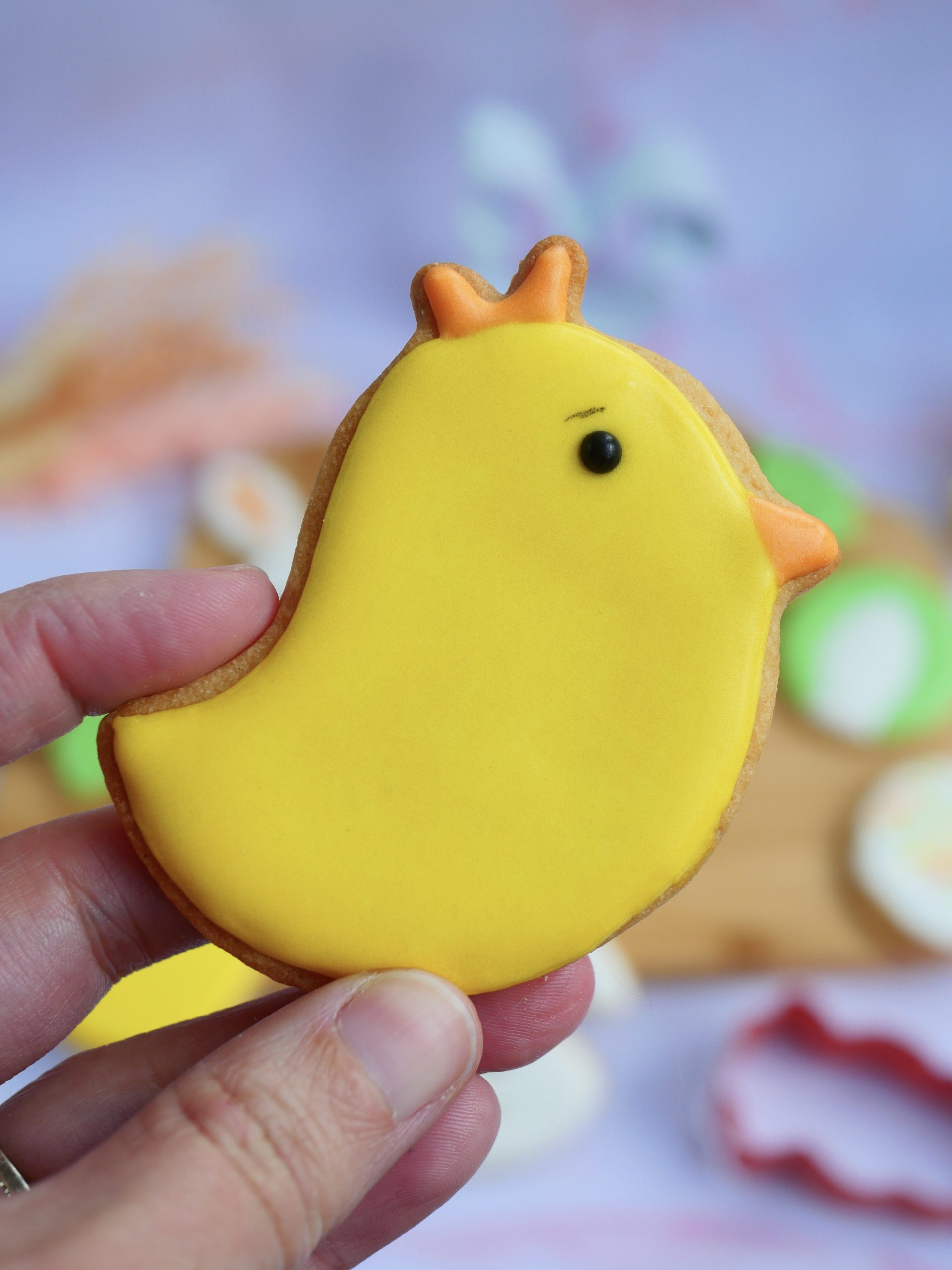 biscuit poussin biscuit poussin